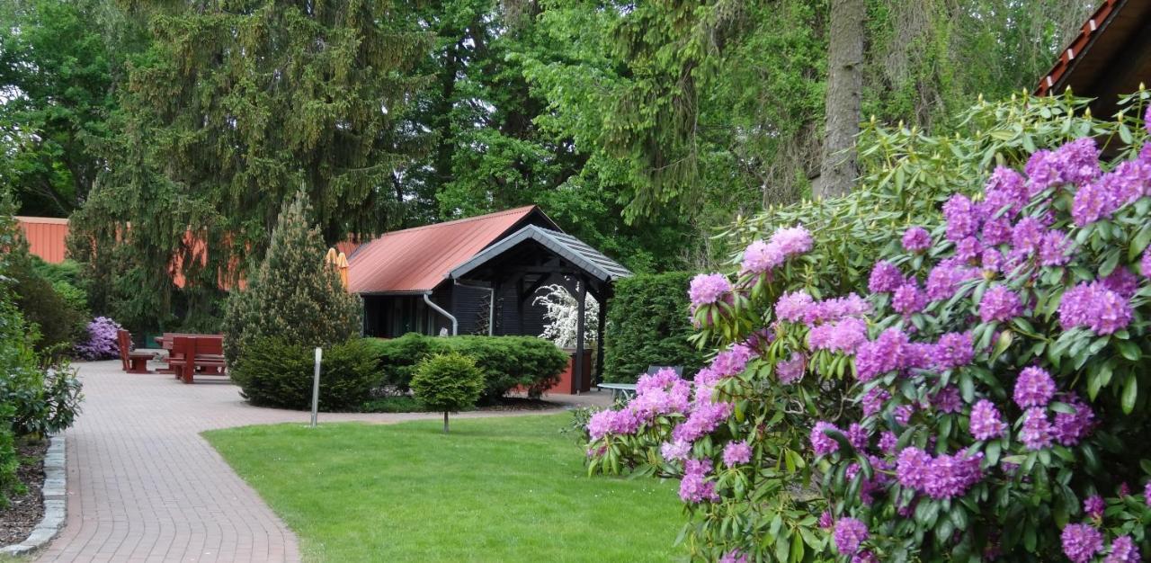WassermannApartments Burg  Esterno foto
