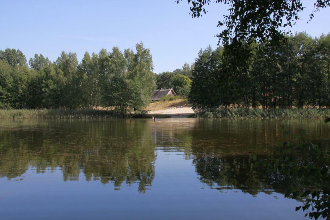 WassermannApartments Burg  Esterno foto